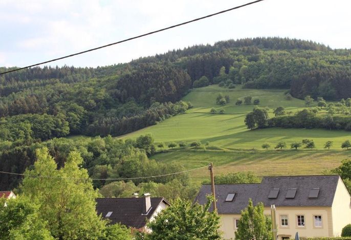 Bild 16