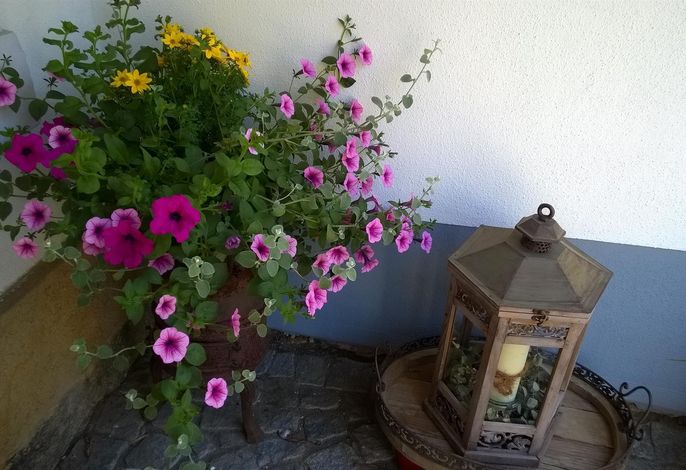 Bild 24
