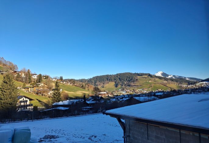 Bild 15