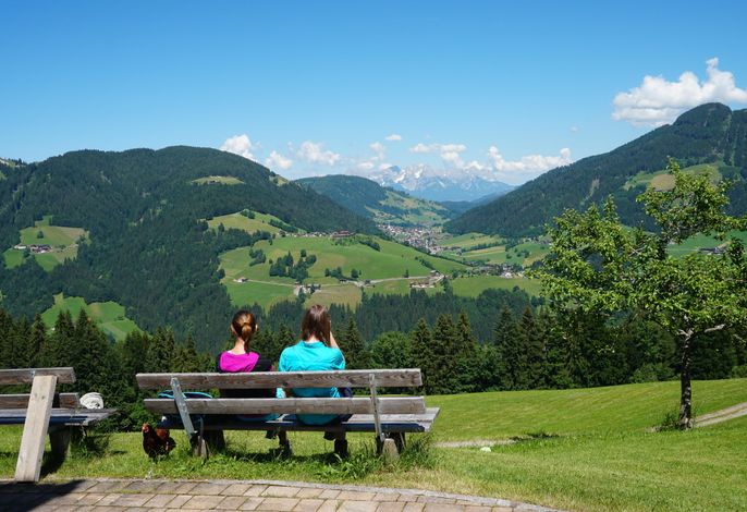 Bild 22
