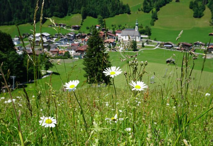 Bild 23