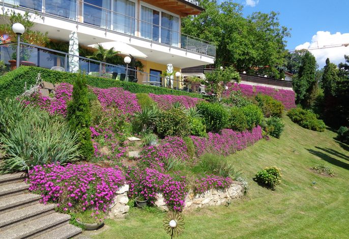 Bild 15