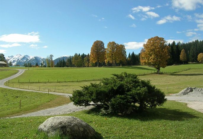 Bild 11
