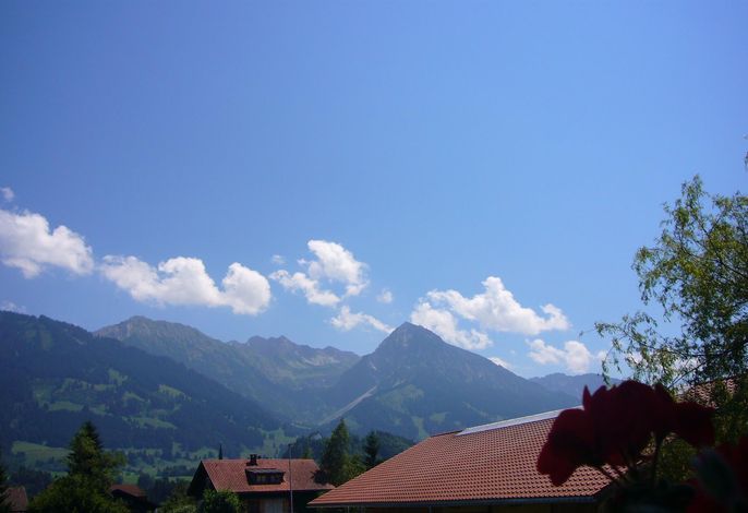 Bild 12
