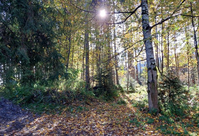 Bild 18