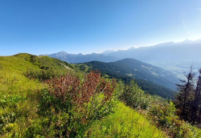 Bild 15