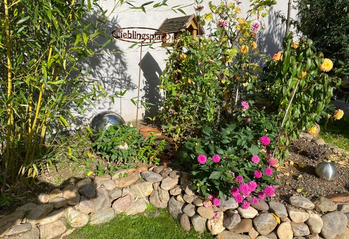 Bild 15