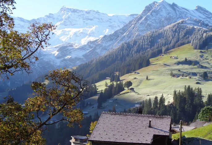 Bild 29