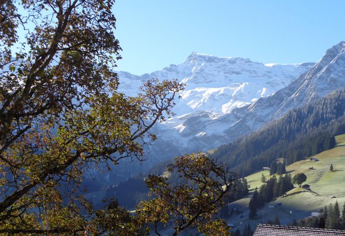 Bild 20