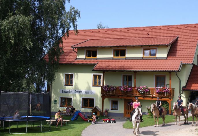 Ferienhaus Lärchenhütte