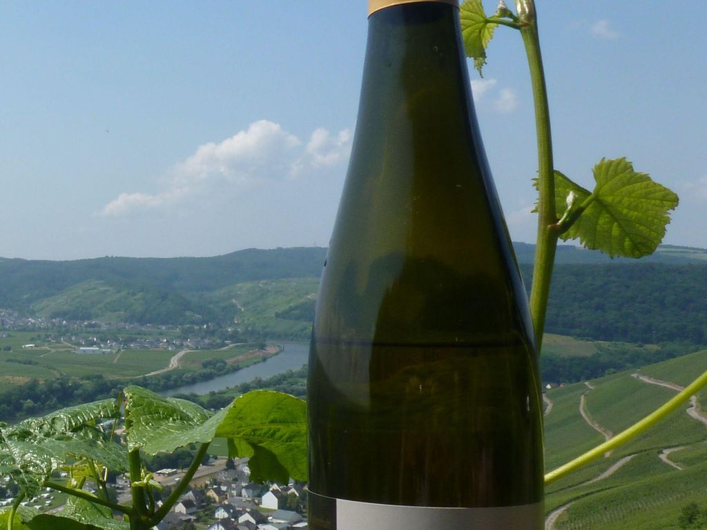 Ferienweingut Degenhof