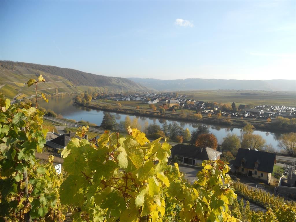 Ferienweingut Degenhof