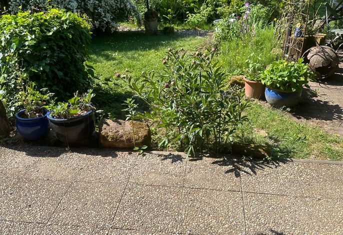 Bild 12