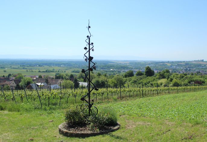 Bild 19