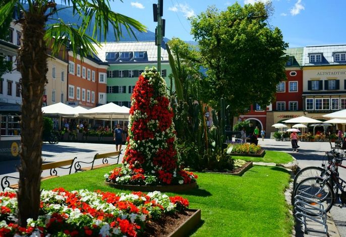 Bild 15