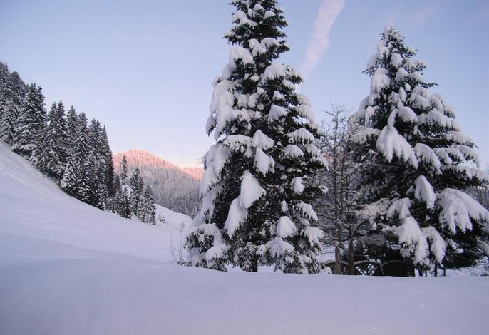 Bild 9