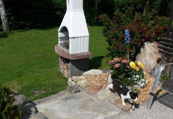 Bild 19