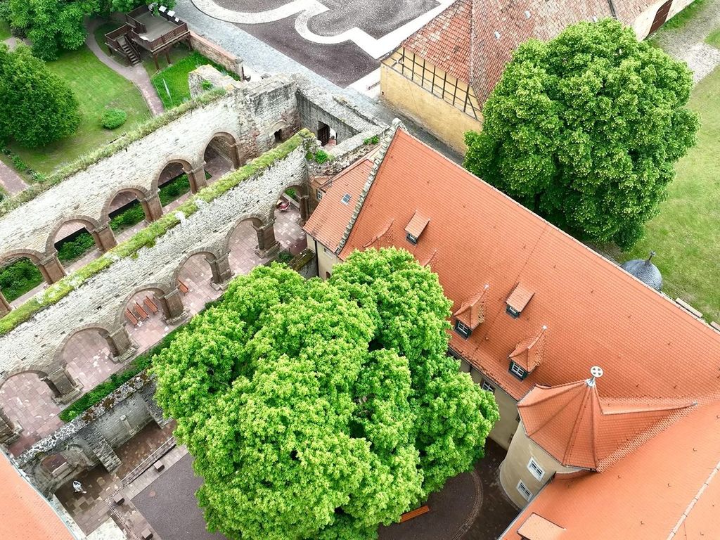 Stiftung Kloster und Kaiserpfalz Memleben