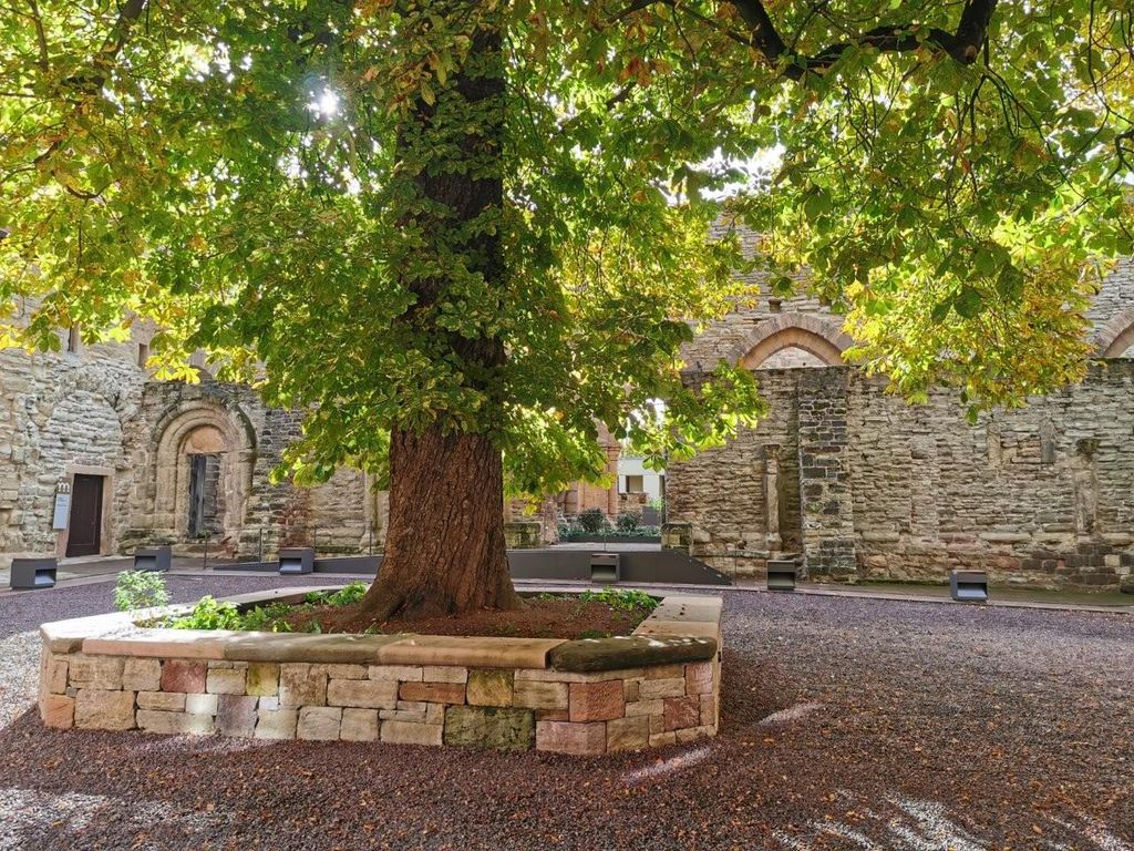 Stiftung Kloster und Kaiserpfalz Memleben