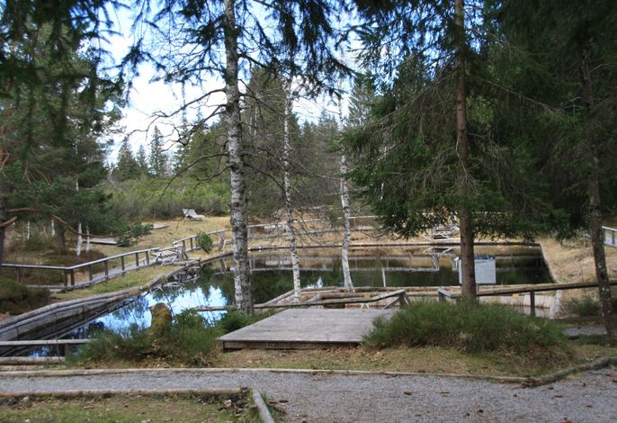 Bild 21