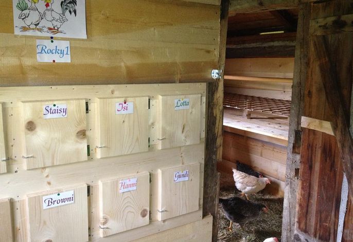 Bild 32