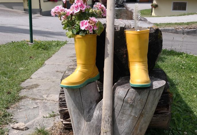 Bild 59