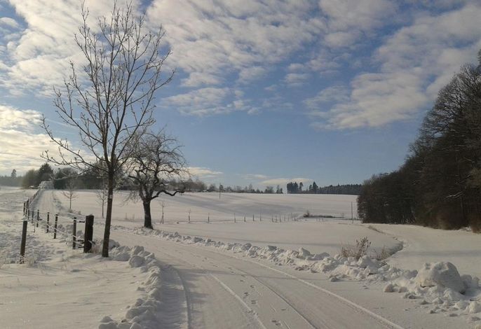 Bild 19