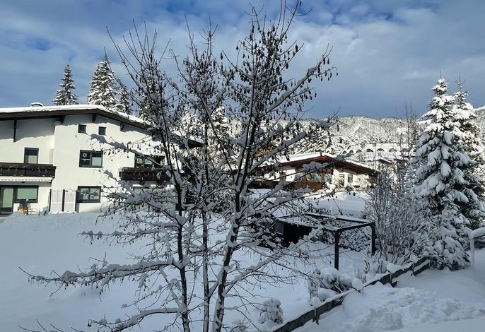 Bild 14