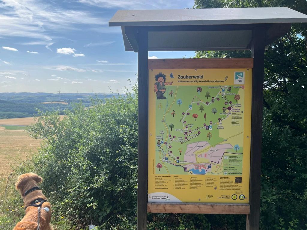 Ferienhäuser im Feriendorf Hambachtal