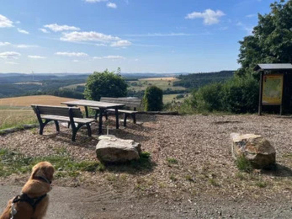 Ferienhäuser im Feriendorf Hambachtal
