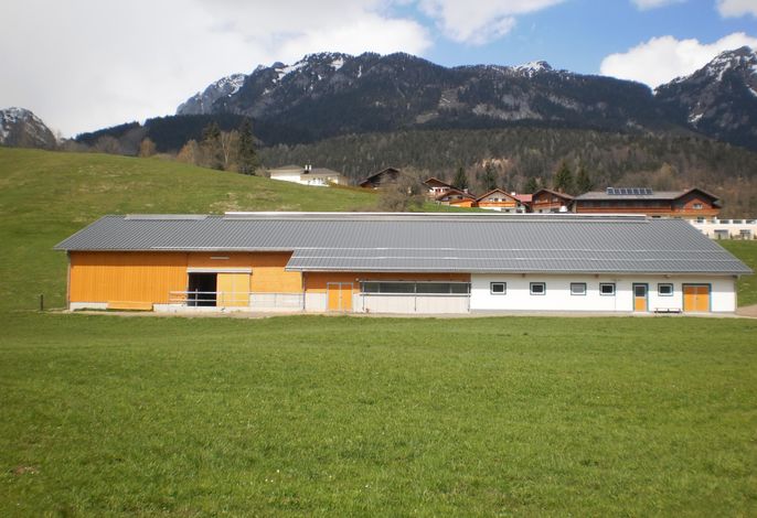 Bild 13