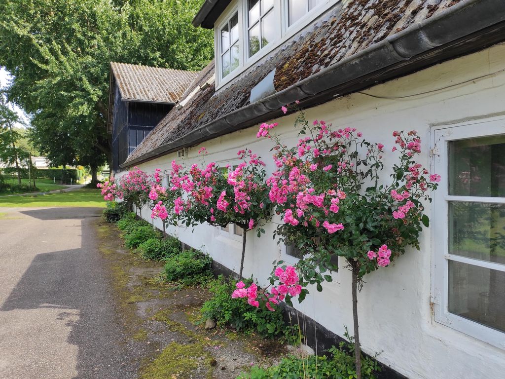 Gästehaus Käte Petersen