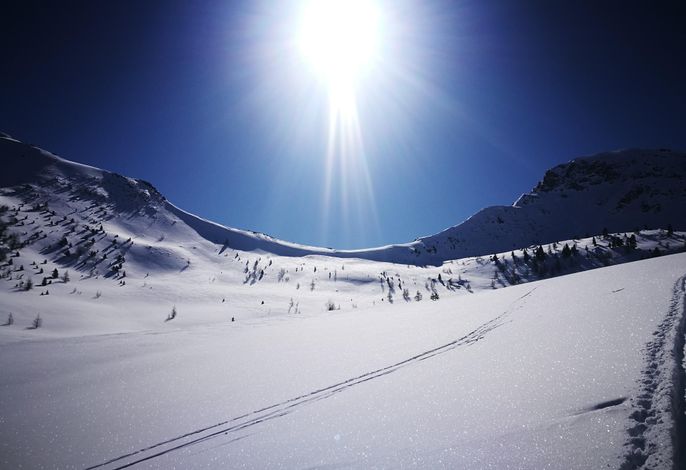 Bild 54