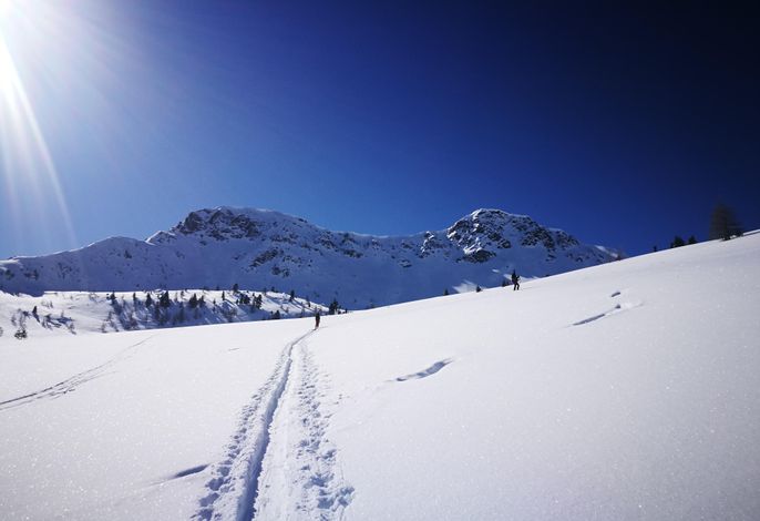 Bild 53