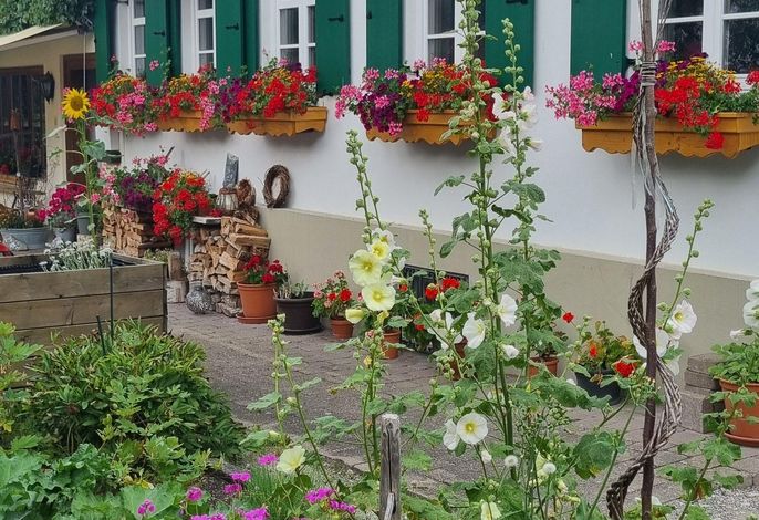 Bild 19