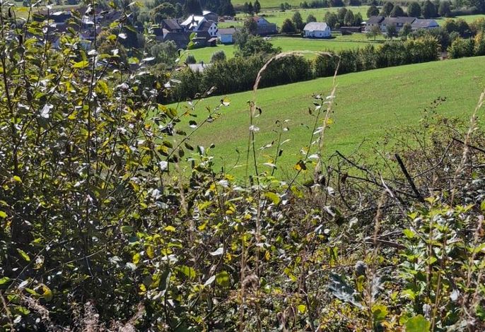 Bild 13