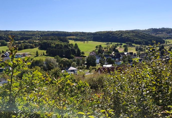 Bild 11
