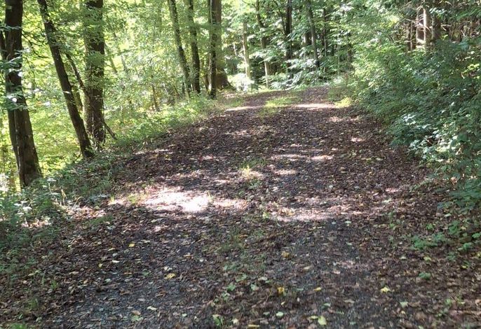 Bild 18