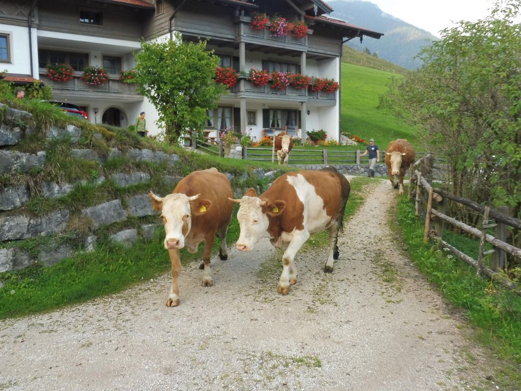 Haus Eicher