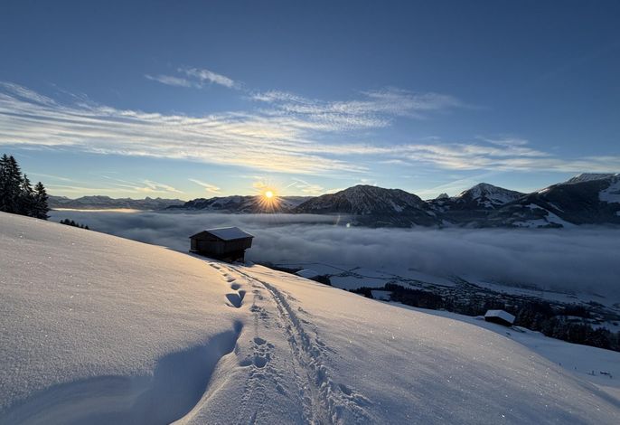 Bild 19