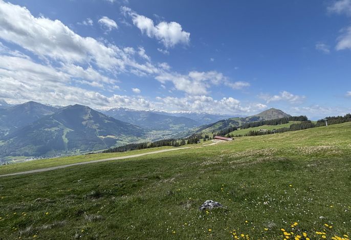 Bild 16