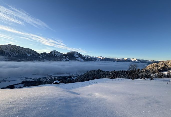 Bild 18