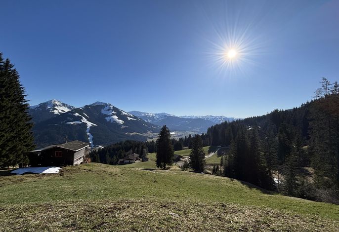 Bild 15