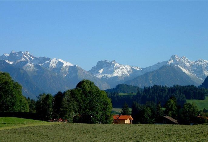Bild 15