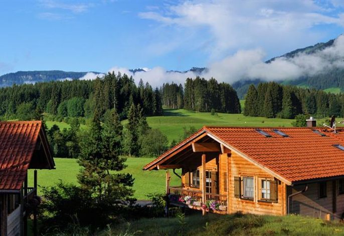 Bild 19