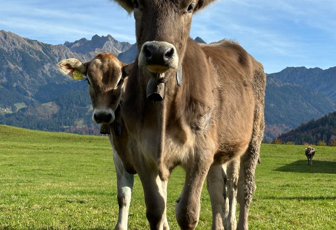 Bild 133