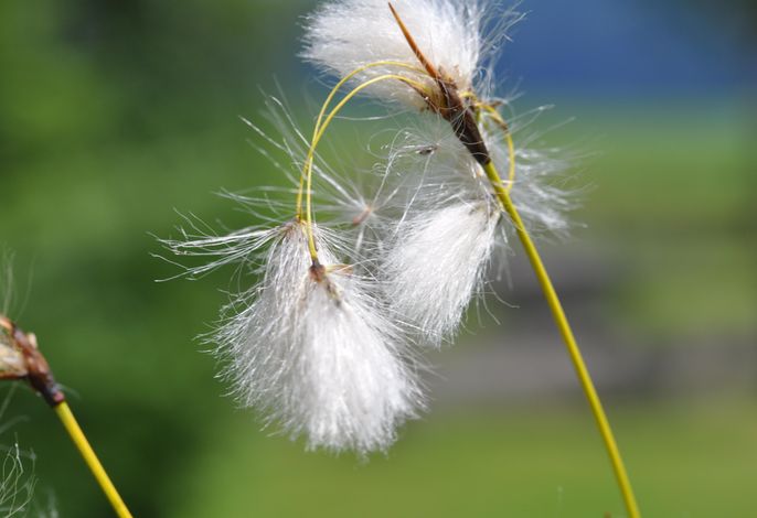 Bild 88