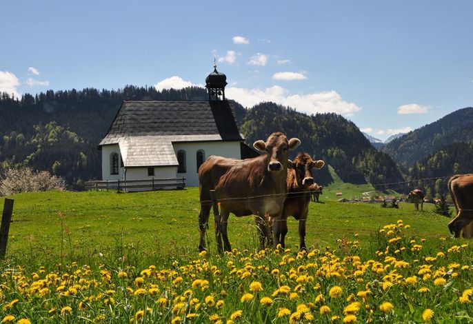 Bild 8