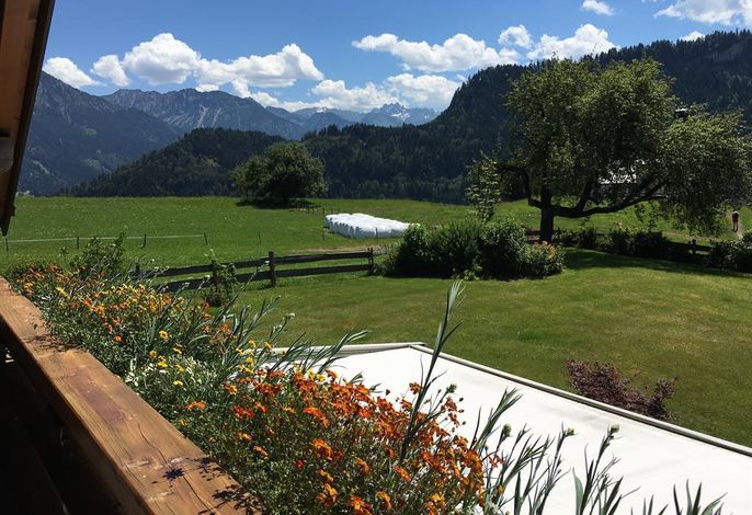Bild 12