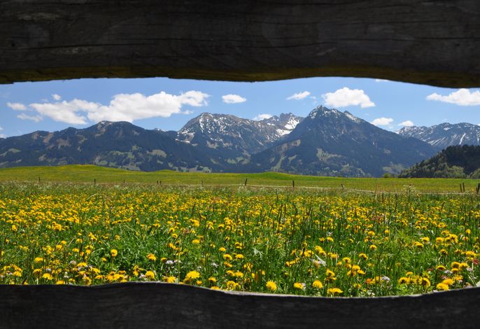 Bild 79